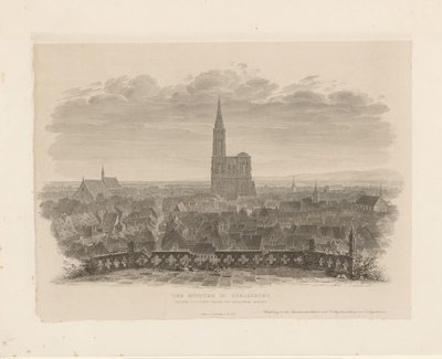 Gezicht op de kathedraal van Straatsburg door Ludwig Friedrich Schnell