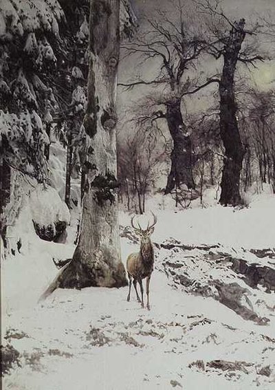 Een Hert in een Besneeuwd Bos door Ludwig Fromme