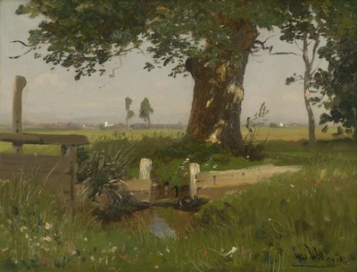 Zomers weidelandschap in Karinthië door Ludwig Willroider