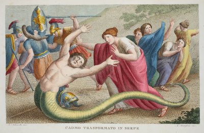 Cadmus in een slang of Cadmo Transformato in Serpe, Boek IV, illustratie uit Ovidius