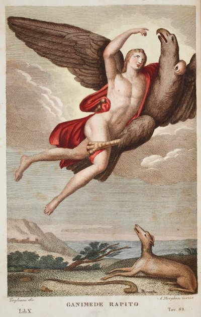 Ganymedes naar de Hemel gedragen, Boek X, illustratie uit Ovidius