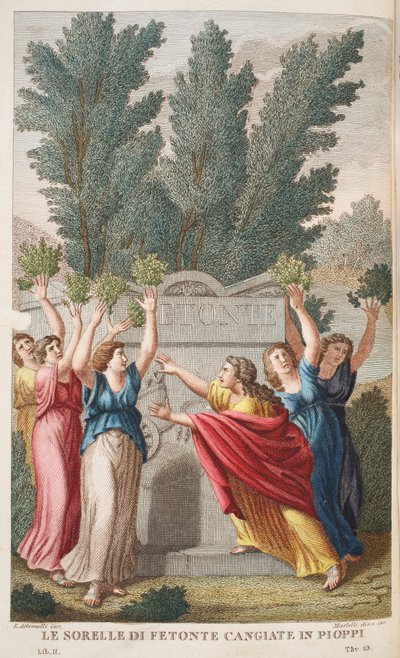 Heliaden veranderen in bomen die amber geven, illustratie uit Ovidius