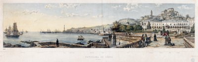 Panoramisch uitzicht op de stad Genua (lithografie) door Luigi Garibbo