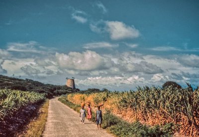 Nicaraguaanse vrouwen dragen manden met producten op hun hoofd op een landelijke weg tussen velden... door Luis Marden