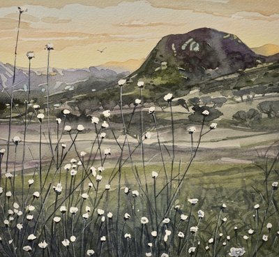Golden Sky-veldbloemen door Luisa Millicent