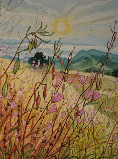 Zonsopgang boven het roze veld door Luisa Millicent