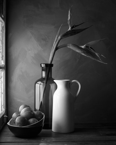 Stilleven met paradijsvogel door Luiz Laercio