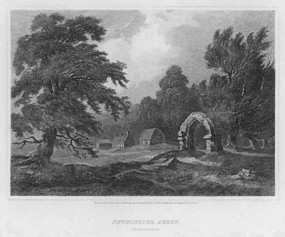 Newminster Abbey, Northumberland door Luke (after) Clennell