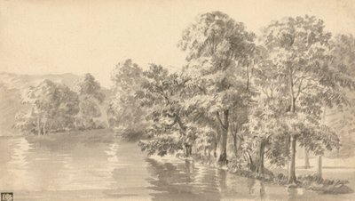 Bomen bij een meer door Luke Sullivan