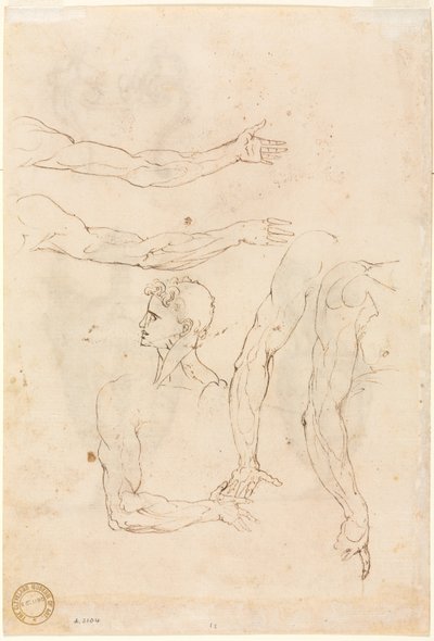 Schetsen van Vijf Armen en een Hoofd verso, midden 1500s door Luzio Romano