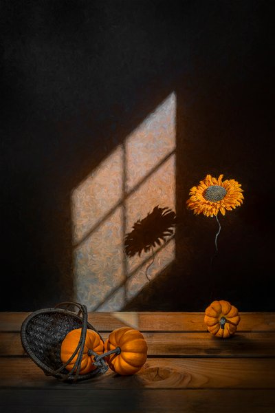  door Lydia Jacobs