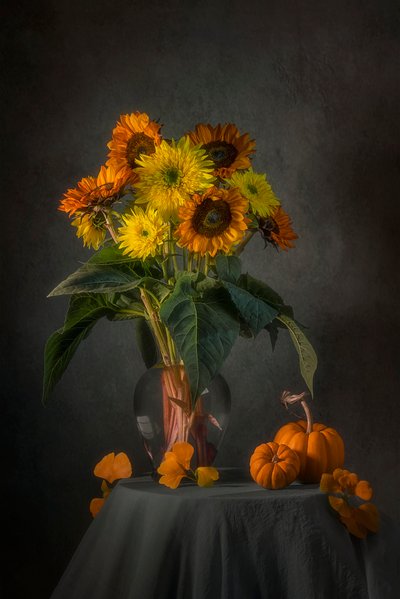  door Lydia Jacobs