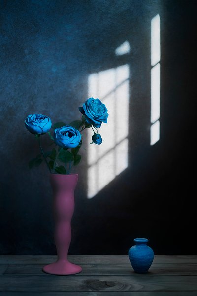 Blauwe rozen raamverlichting door Lydia Jacobs
