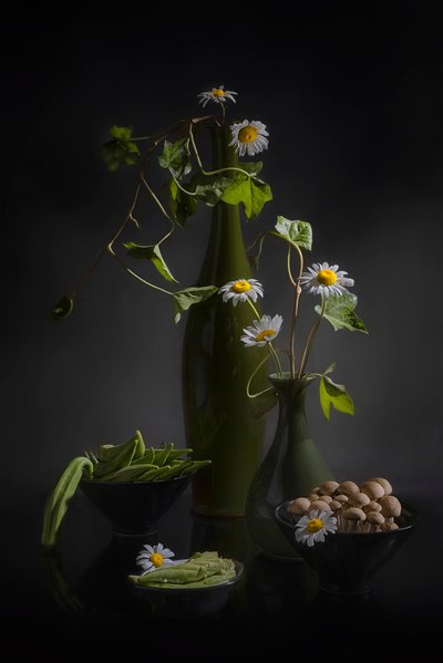 Madeliefjes en verse producten door Lydia Jacobs