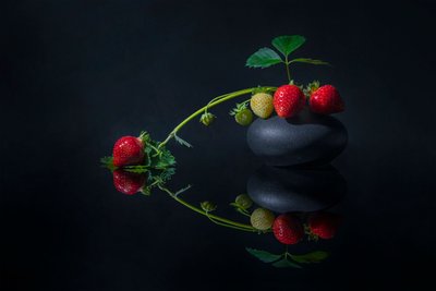  door Lydia Jacobs