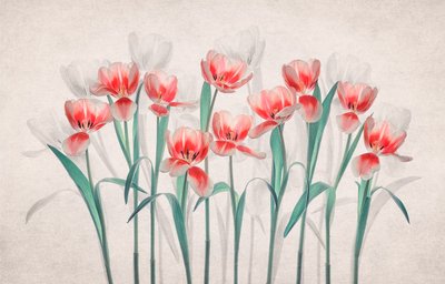 Etherische roze tulpen door Lydia Jacobs