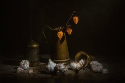  door Lydia Jacobs