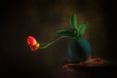 Sierlijk stilleven met tulpen door Lydia Jacobs