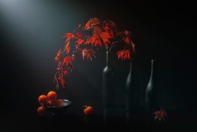 Stemmig herfststilleven door Lydia Jacobs