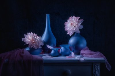 Moody Blue-dahlia’s door Lydia Jacobs
