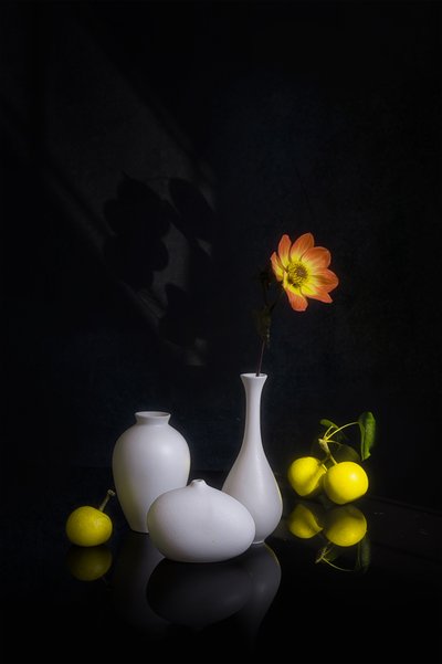 Moody Bloemen en Fruit door Lydia Jacobs