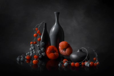  door Lydia Jacobs
