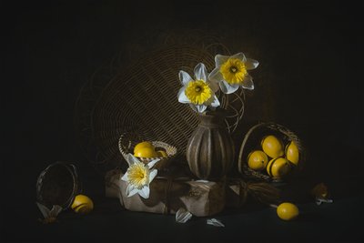  door Lydia Jacobs