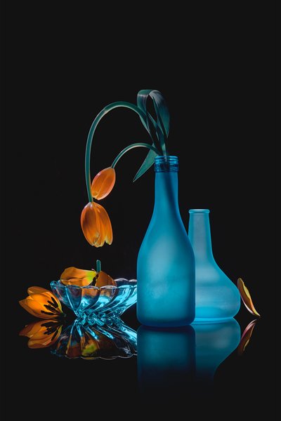 Stilleven met verwelkte tulpen door Lydia Jacobs
