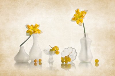 Gele narcissen en druiven door Lydia Jacobs