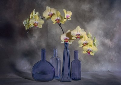 Gele orchideeën, blauw glas door Lydia Jacobs