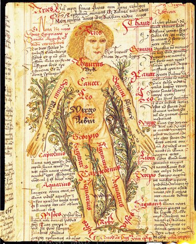Invloed van de sterren op ziektes van het menselijk lichaam, uit Tractatus de Pestilencia door M, Albik