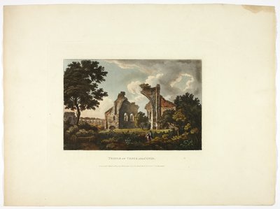 Tempel van Venus en Cupido, plaat twaalf van de Ruïnes van Rome door M. Dubourg