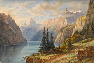 Vue du Rutli door M. Nicolas Karth
