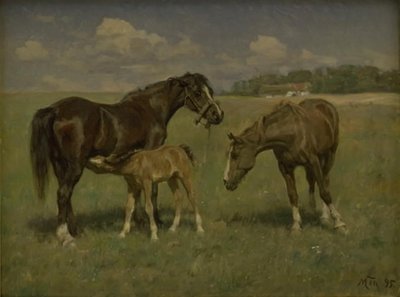 Drie paarden op een veld door M. Therkildsen
