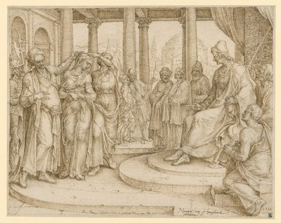  door Maarten van Heemskerck
