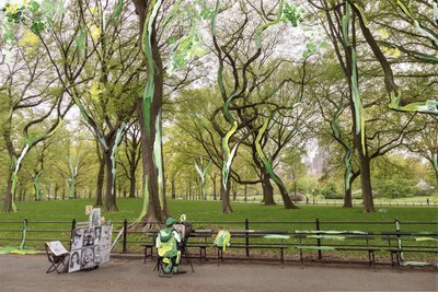 Central Park door Madeleine Gross