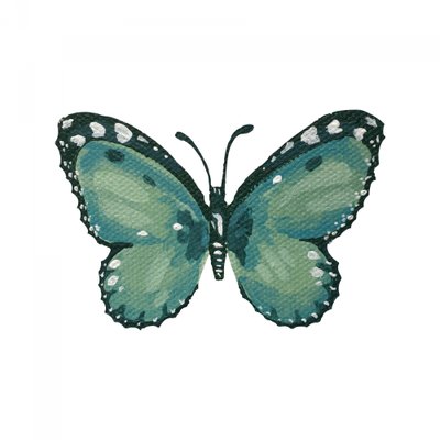 Elegante blauwgroene vlinder door Madison Phipps