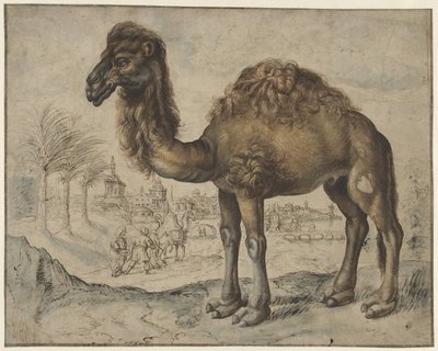 Dromedaris in een oosters landschap met een stad door Maerten de Vos