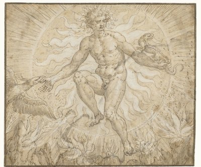 Ignis (Vier elementen) door Maerten de Vos