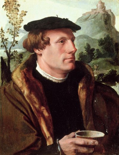 Portret van een heer door Maerten van Heemskerck