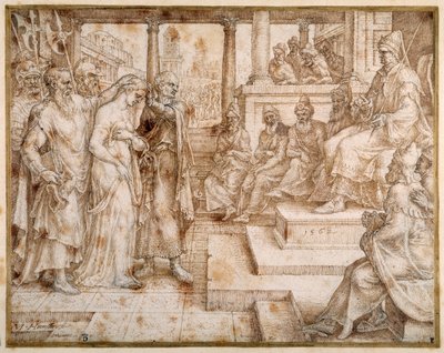 Susanna beschuldigd door de Oudsten door Maerten van Heemskerck