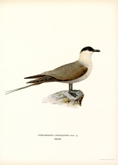 Kleine Jager door Magnus Ferdinand and Wilhelm von Wright