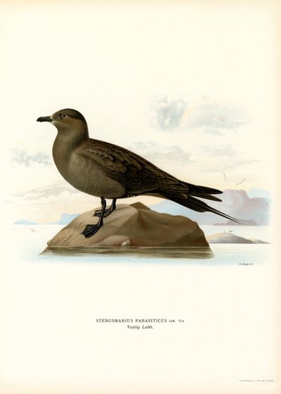 Kleine Jager (kleur litho) door Magnus Ferdinand and Wilhelm von Wright