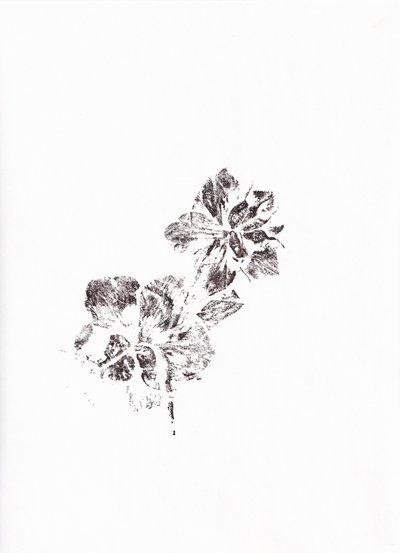 Abstracte bloemenafdrukken door Maira Ribena