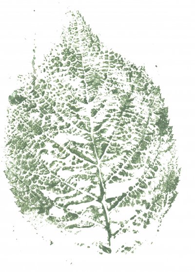Botanische bladprint door Maira Ribena