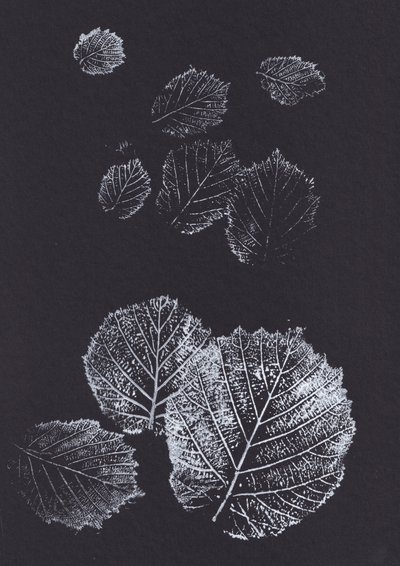 Botanische bladprints door Maira Ribena