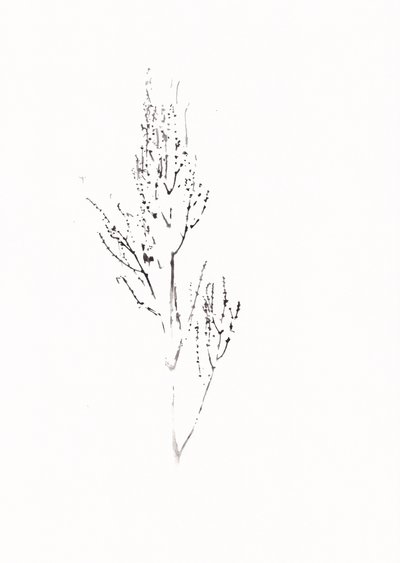 Verfijnde botanische tekening door Maira Ribena