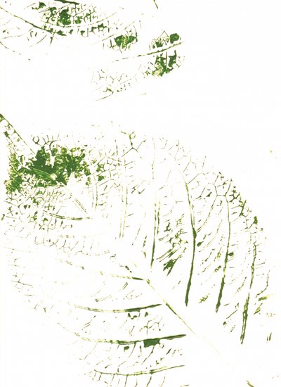 Groene bladerenprints door Maira Ribena