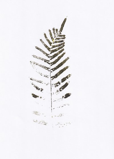 Minimalistische varenbladprint door Maira Ribena