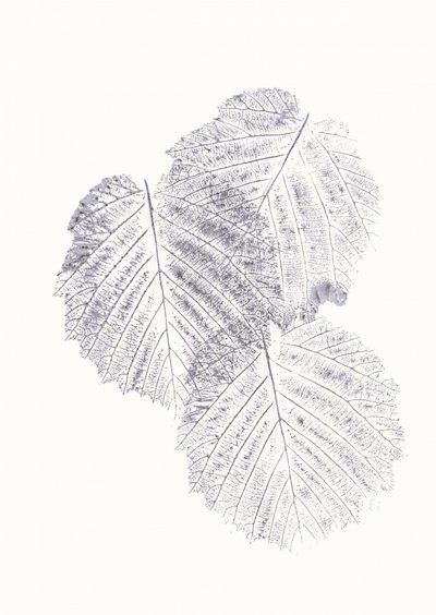 Minimalistische bladtexturen door Maira Ribena